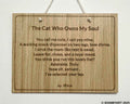 The Cat Who Owns My Soul