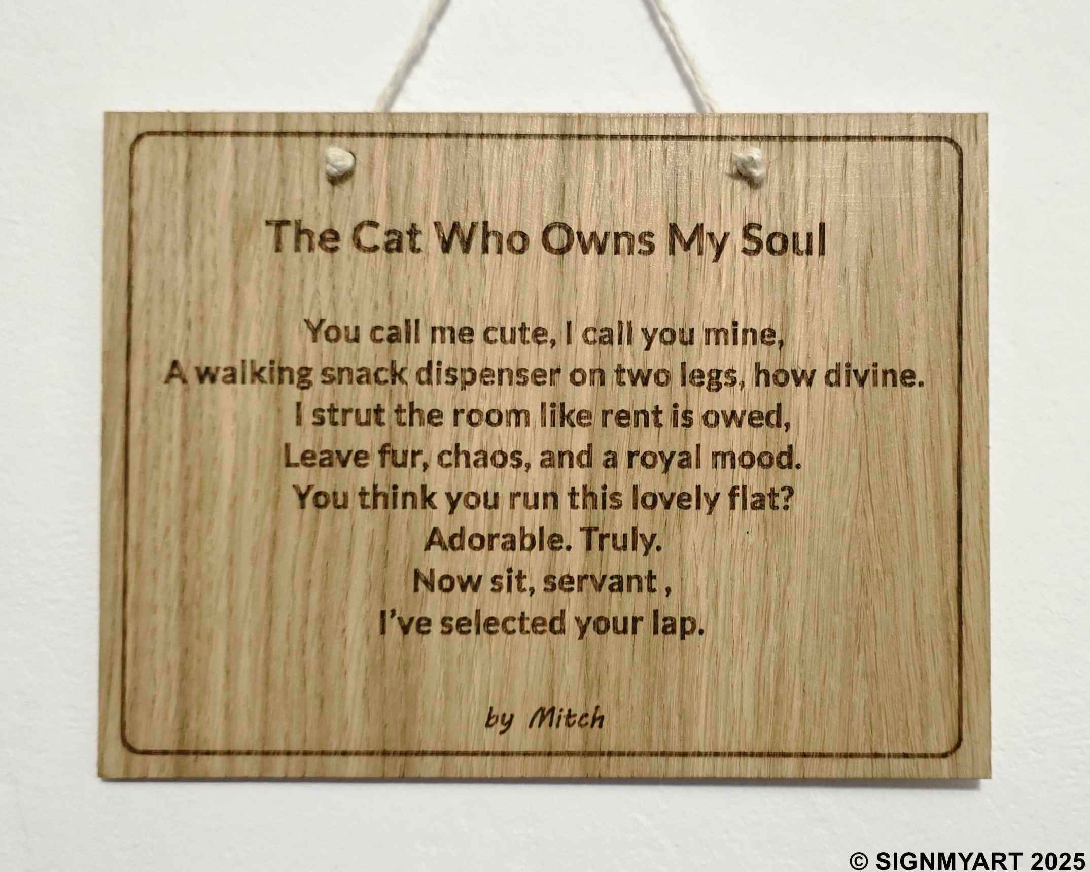 The Cat Who Owns My Soul