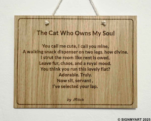 The Cat Who Owns My Soul