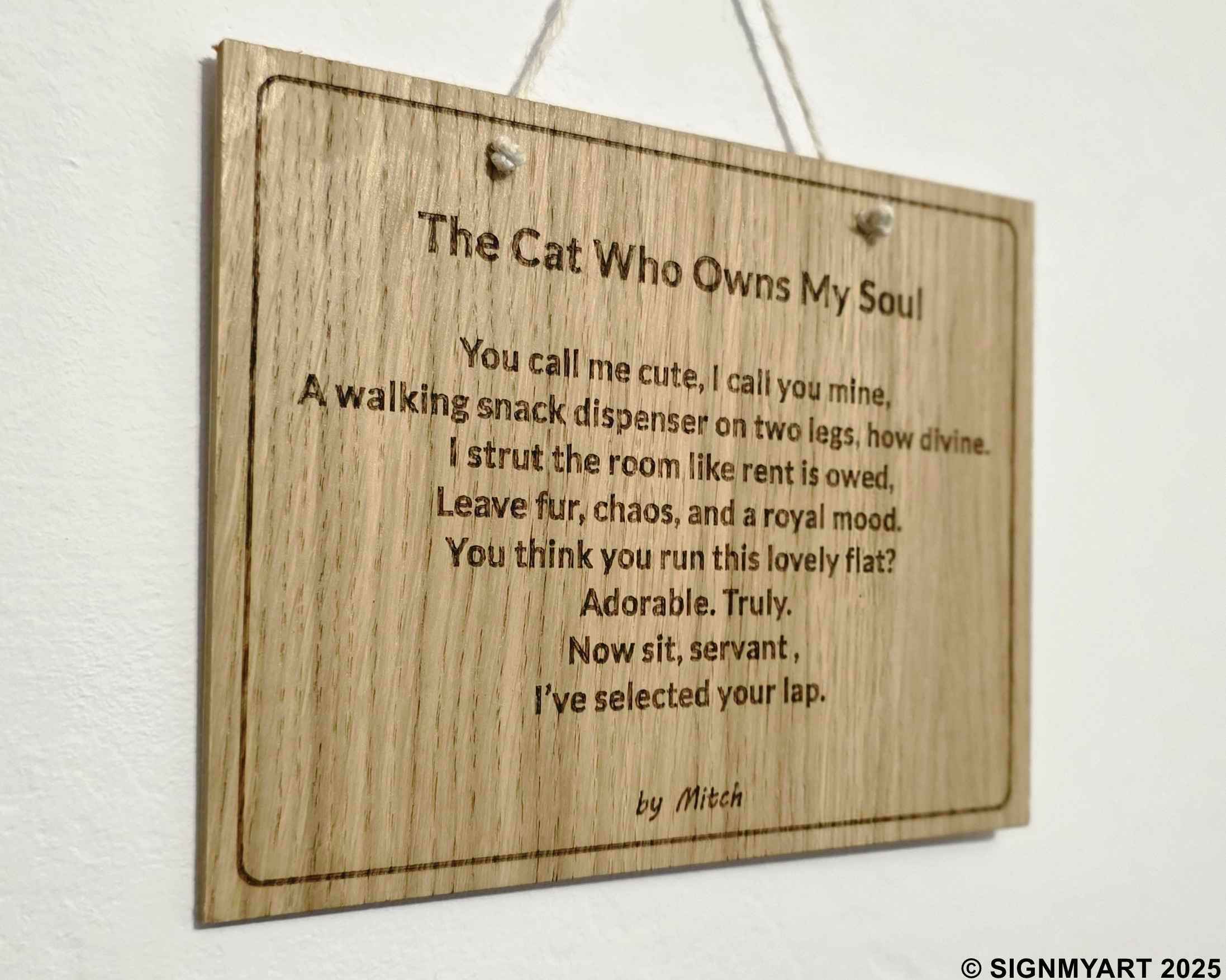 The Cat Who Owns My Soul