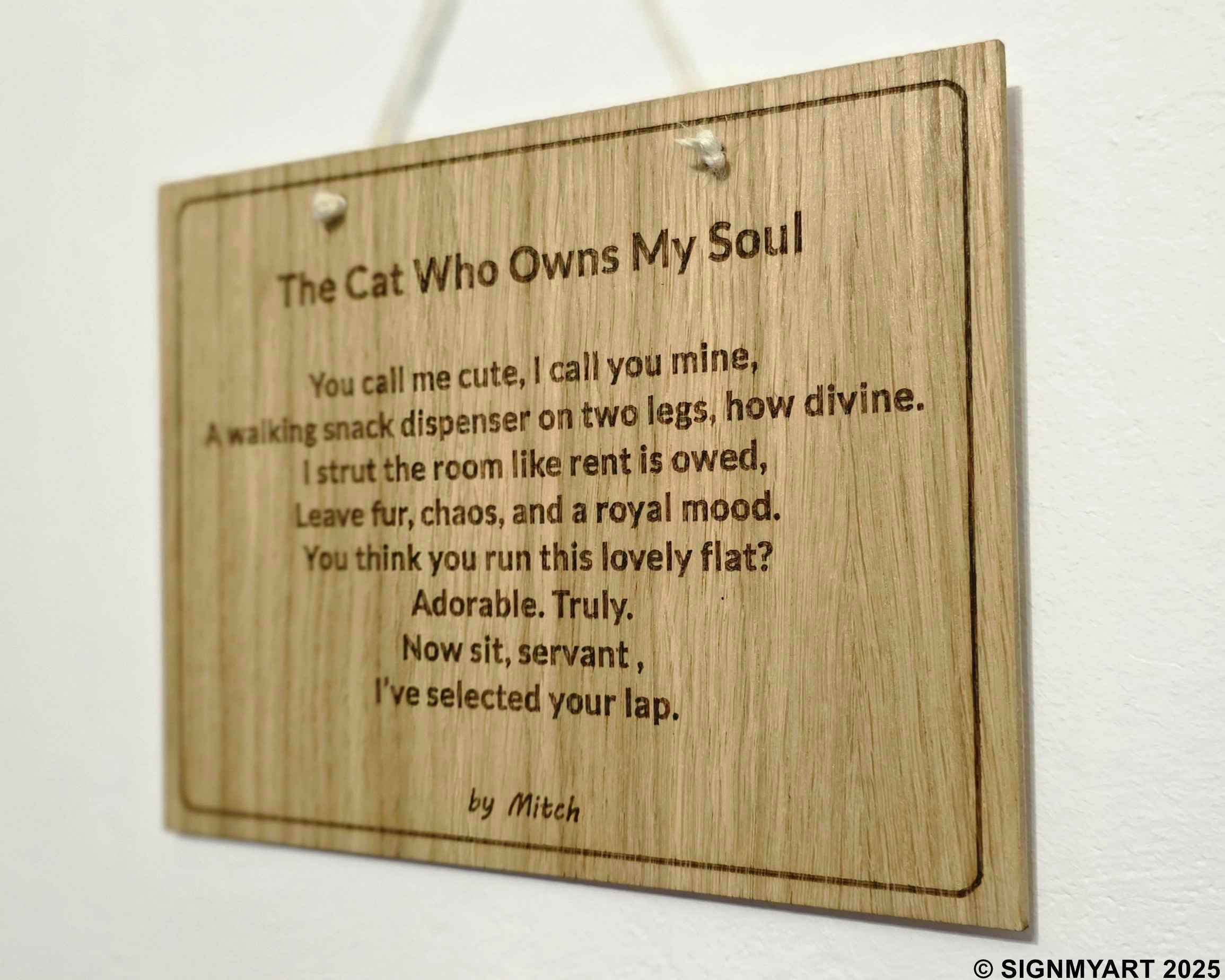 The Cat Who Owns My Soul